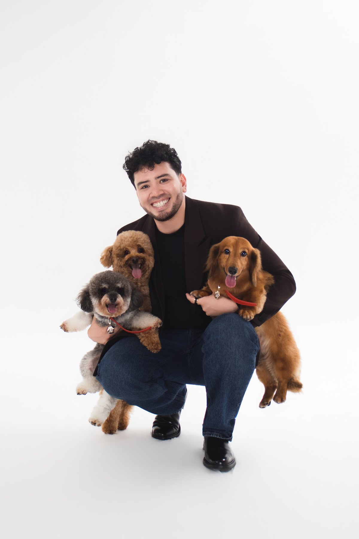 About TDogs