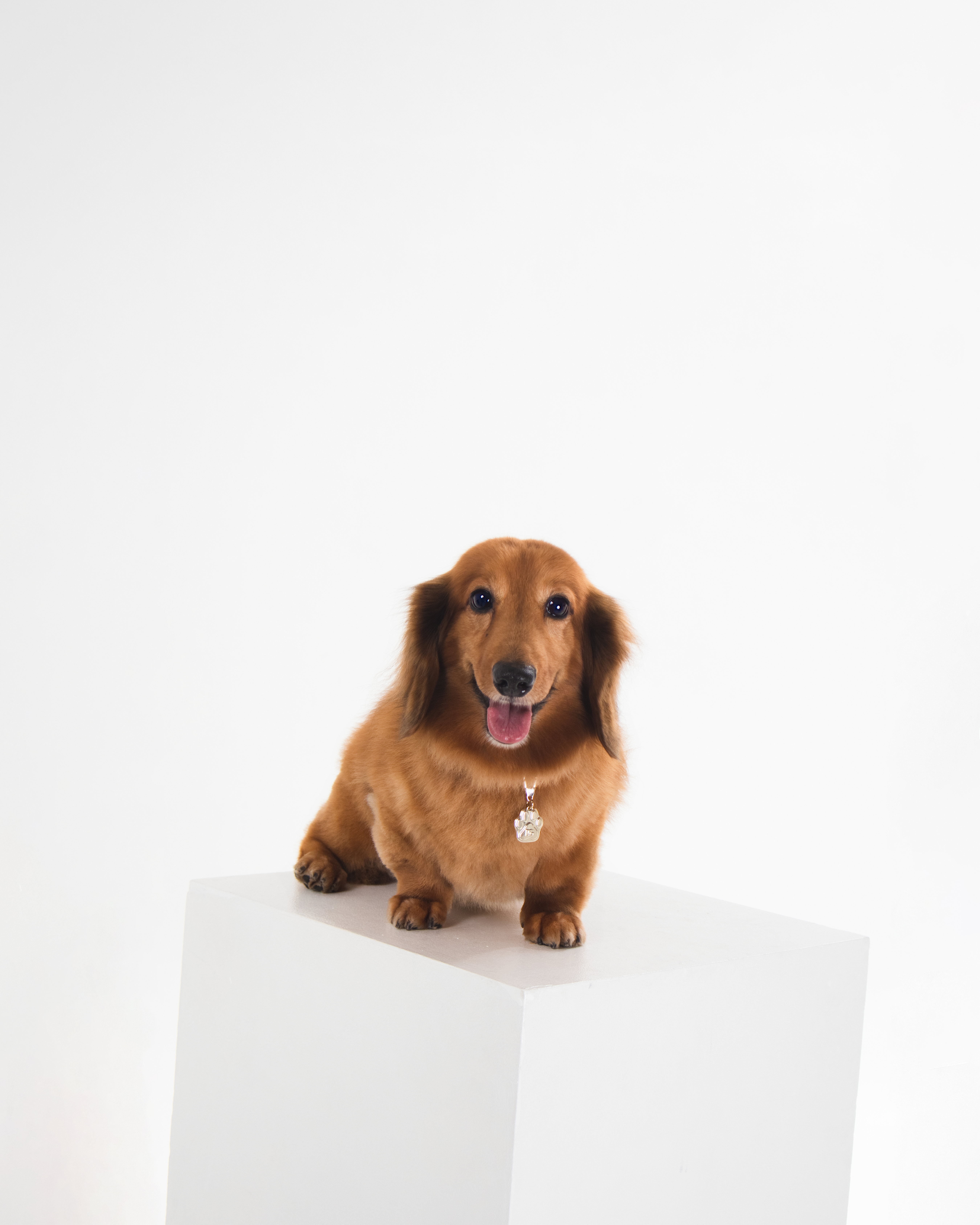 Toto